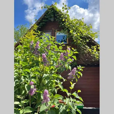 W Sitnie 別荘 Sitno (Pomerania)