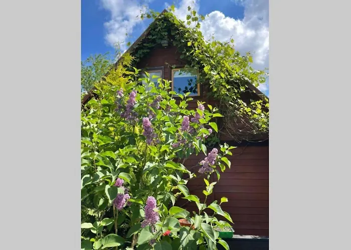 W Sitnie بيت للعطل Sitno (Pomerania)