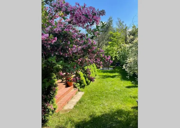 W Sitnie بيت للعطل