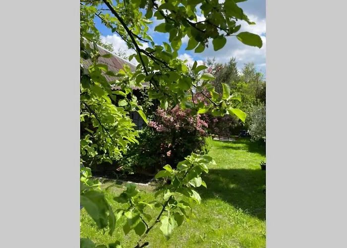 W Sitnie بيت للعطل